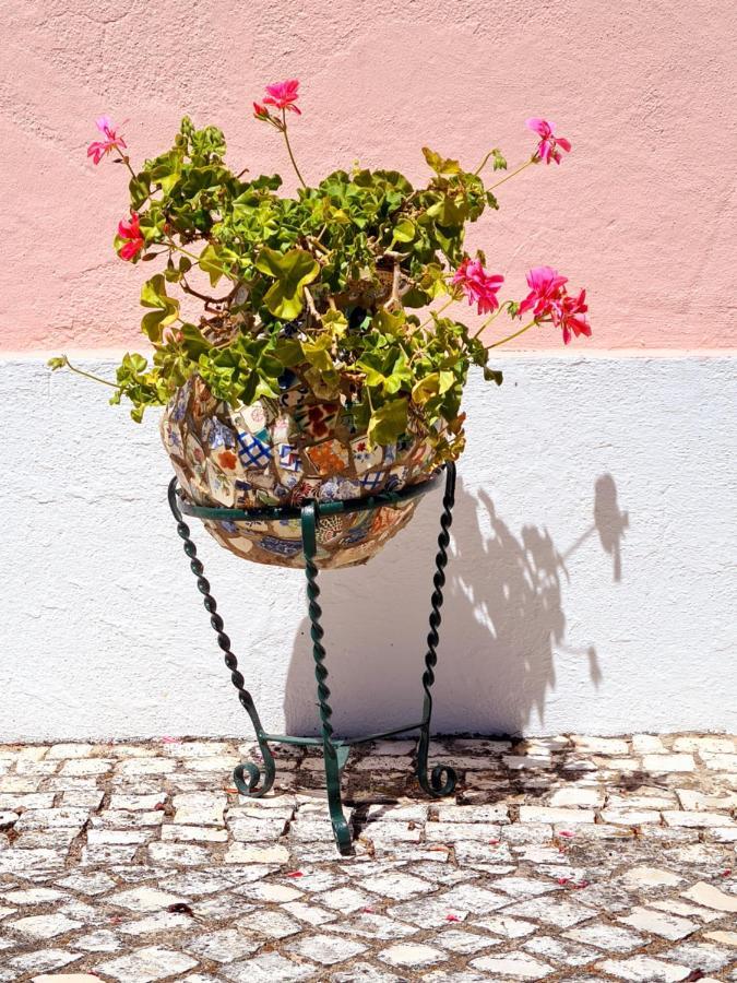 Casa Da Avo Genoveva Tomar Exterior foto